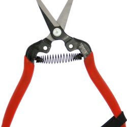 Zenport Shears H300C Harvest Shear, Long Curved Blade, Straight Edge, For Harvesting Grapes, Thinning Plants, Cutting Flowers