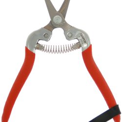 Zenport Shears H301S Fruit Shear, Short Stainless Blade, Straight Edge