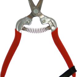 Zenport Shears H301SC Fruit Harvest Shear, Short Curved Stainless Steel Blades