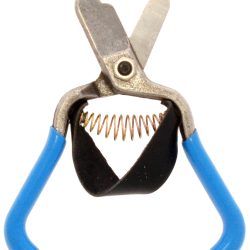 Zenport Stem Clipper H322 Fruit Stem Shears with Strap, Lemon Citrus Stem Clippers, Forged Stainless Steel, 5.5-Inch Long